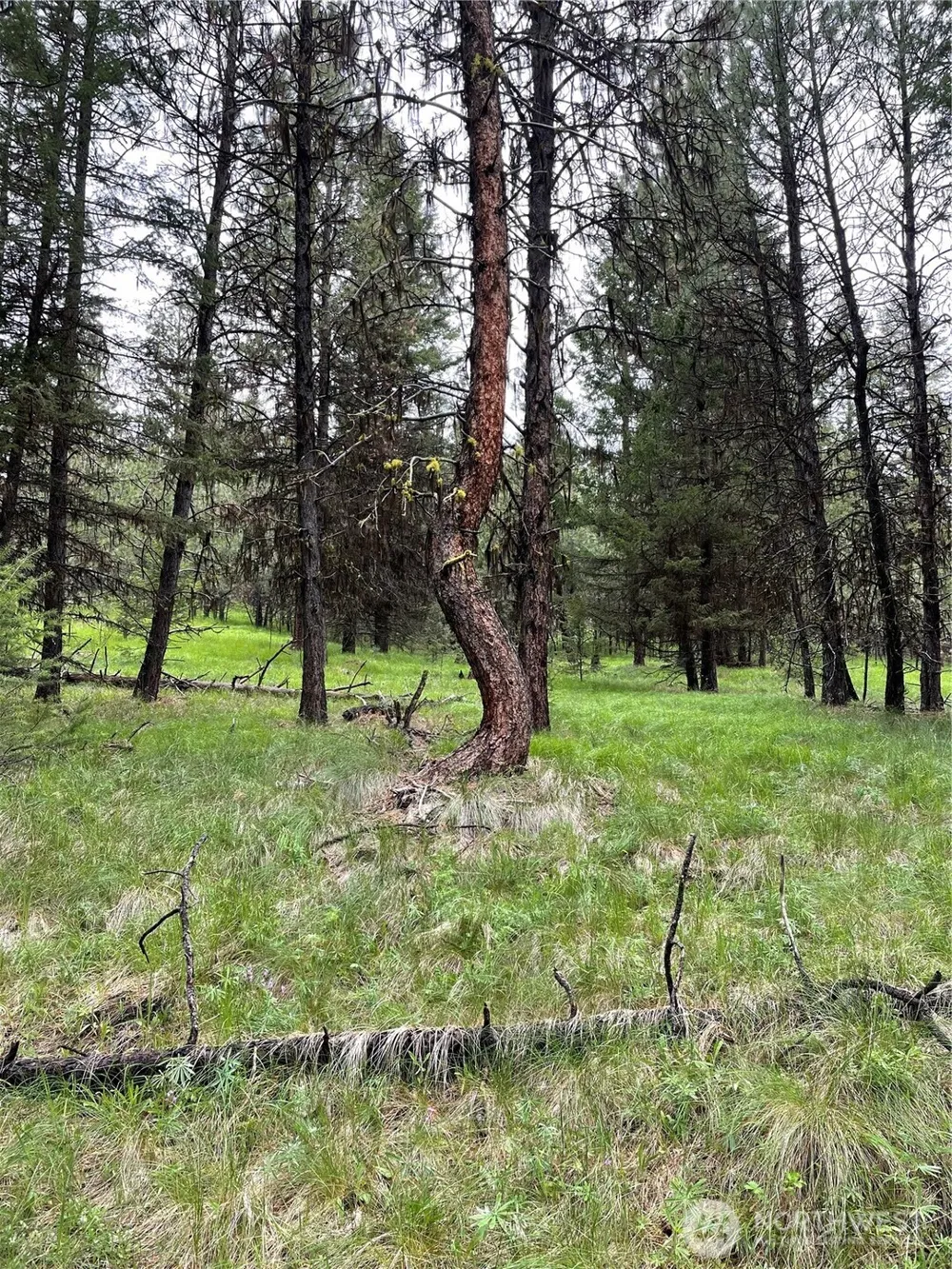 112 TBD Sunrise Rd Oroville, WA 98844
