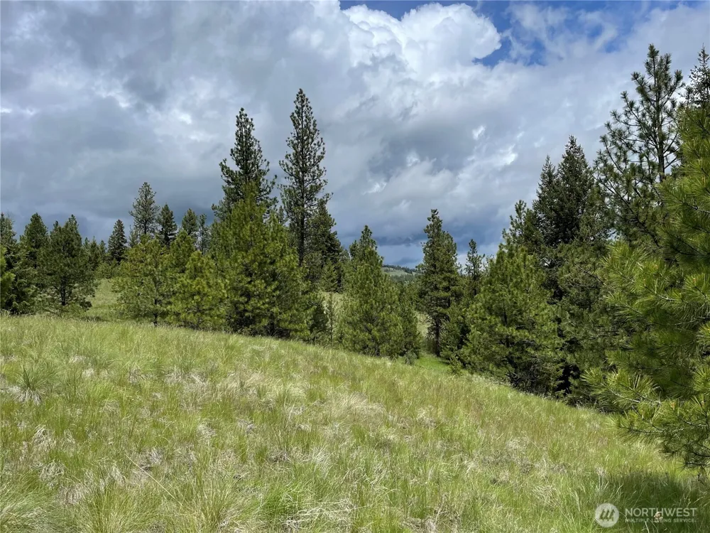 112 TBD Sunrise Rd Oroville, WA 98844