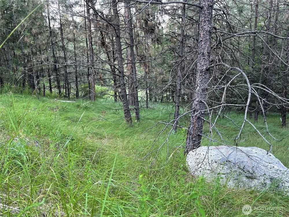 112 TBD Sunrise Rd Oroville, WA 98844