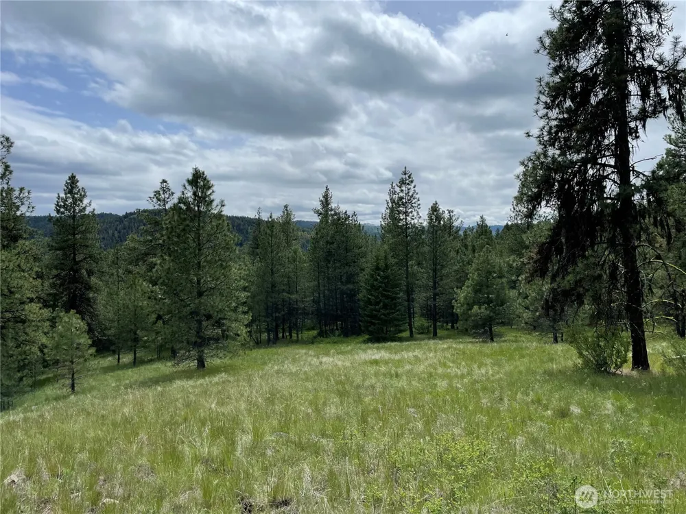 112 TBD Sunrise Rd Oroville, WA 98844