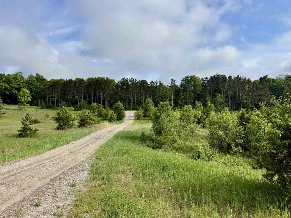 E Kasson Road Kasson Township, MI 49664