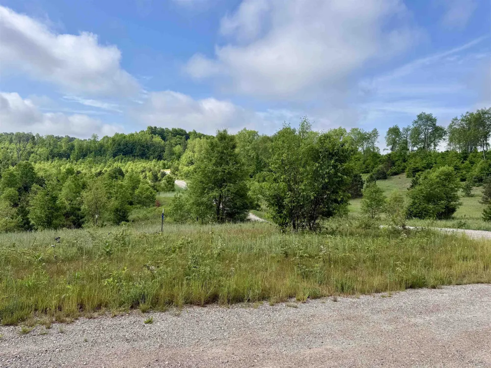 E Kasson Road Kasson Township, MI 49664