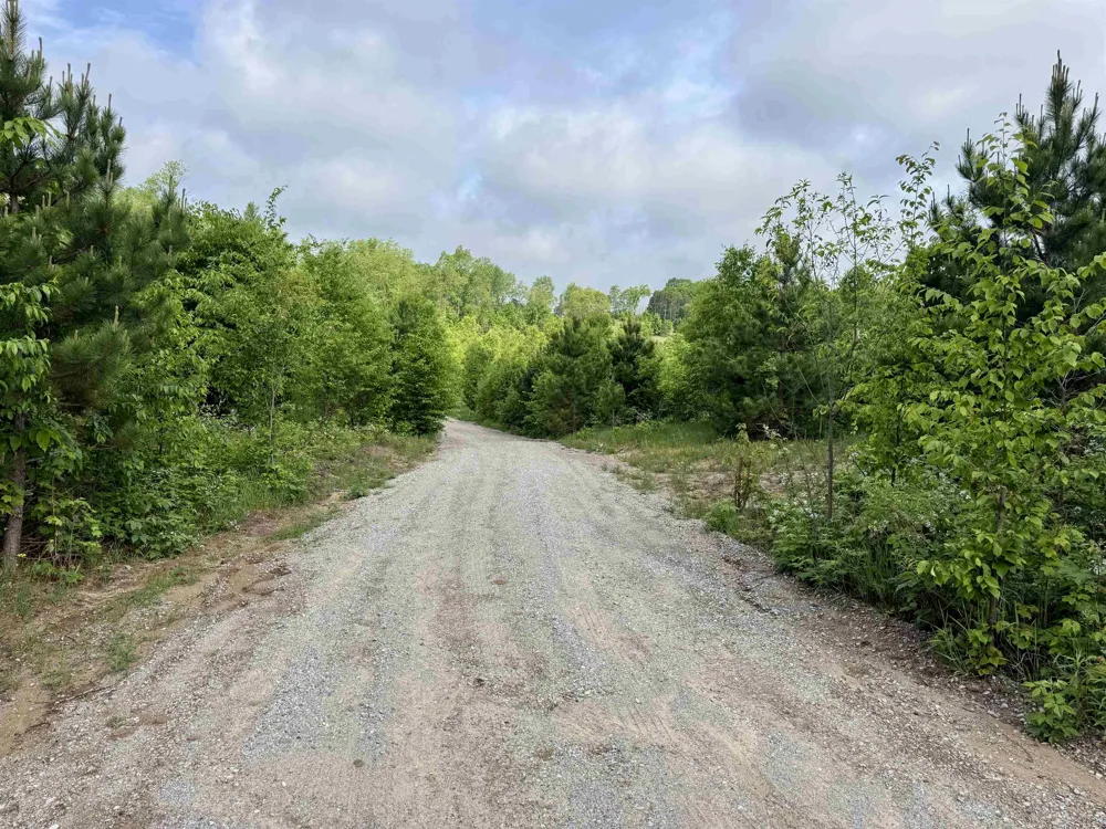 E Kasson Road Kasson Township, MI 49664