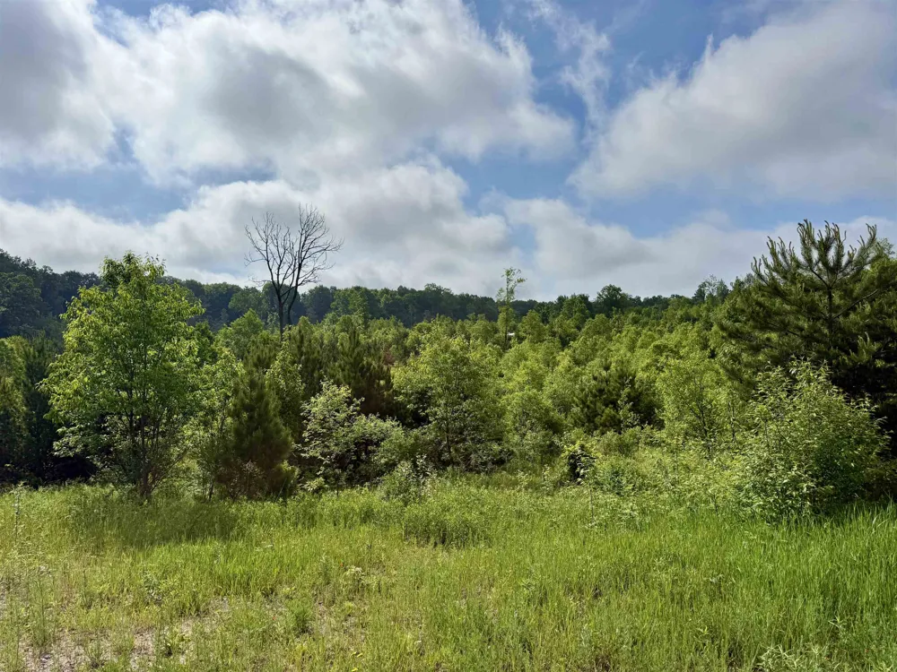 E Kasson Road Kasson Township, MI 49664