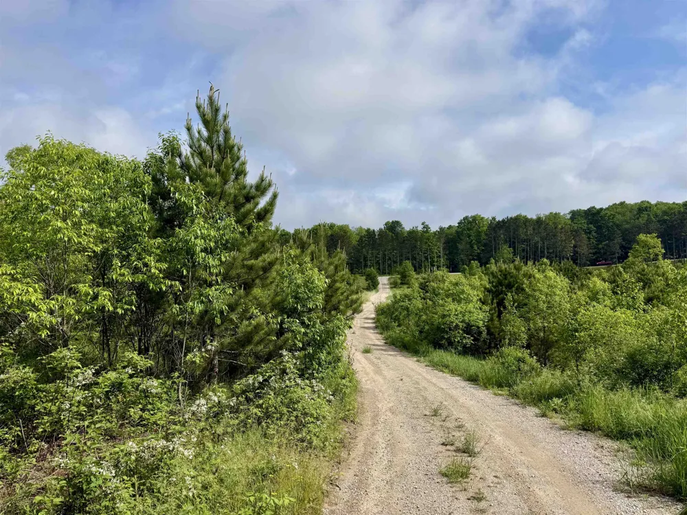 E Kasson Road Kasson Township, MI 49664