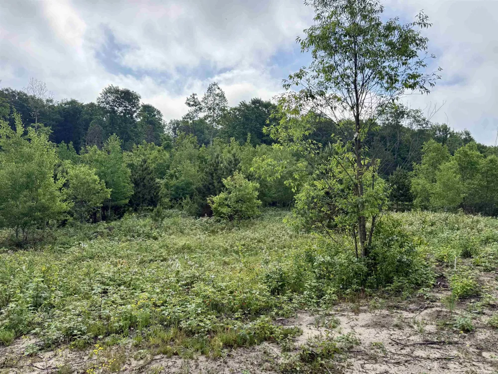 E Kasson Road Kasson Township, MI 49664