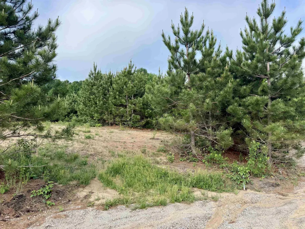 E Kasson Road Kasson Township, MI 49664
