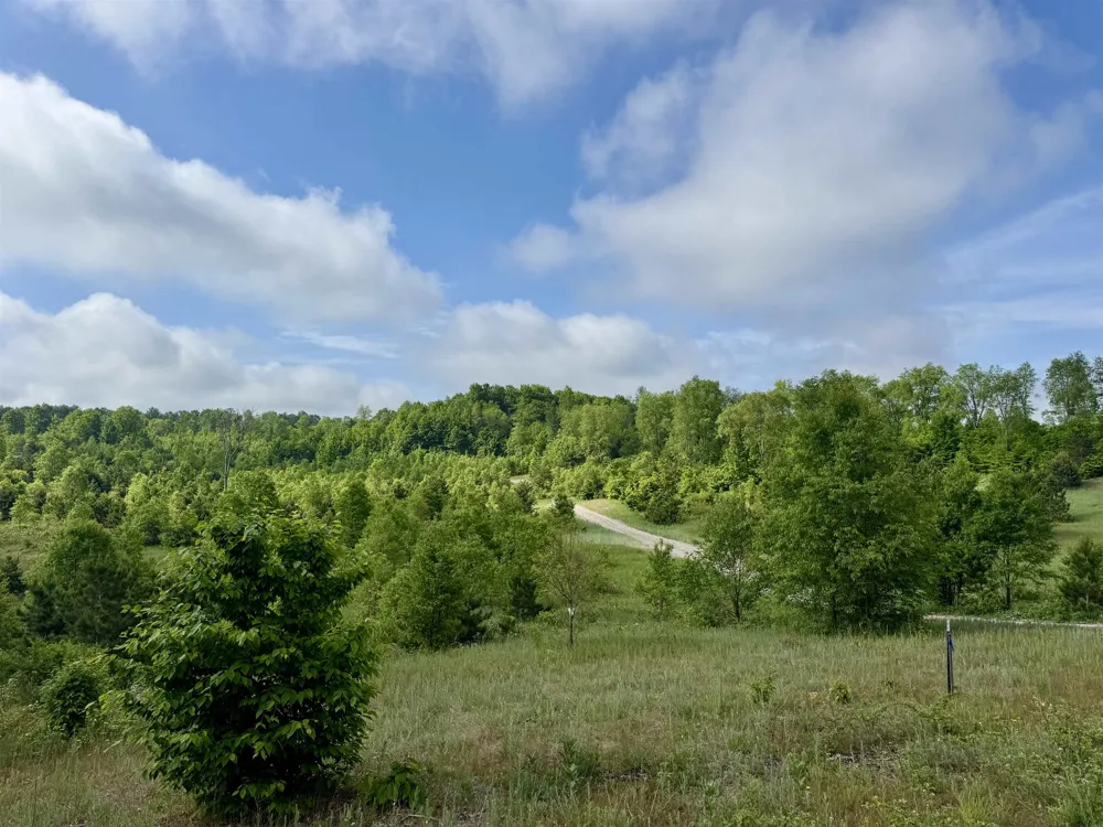 E Kasson Road Kasson Township, MI 49664