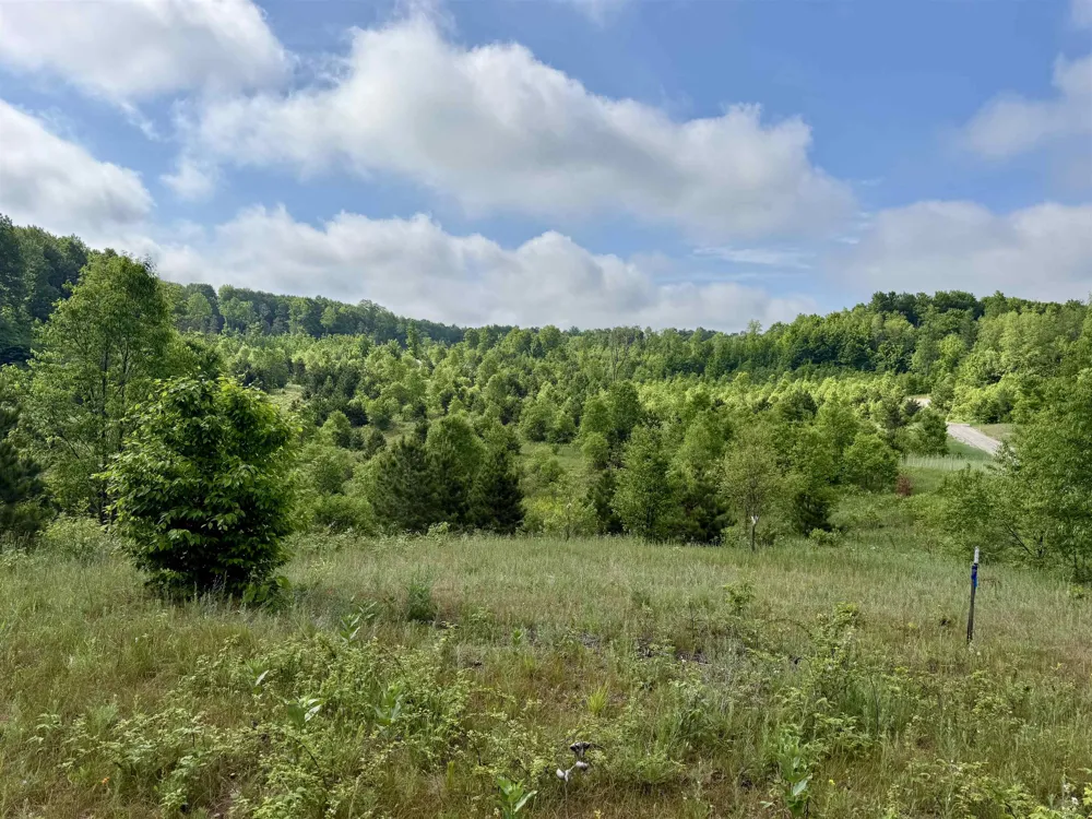 E Kasson Road Kasson Township, MI 49664