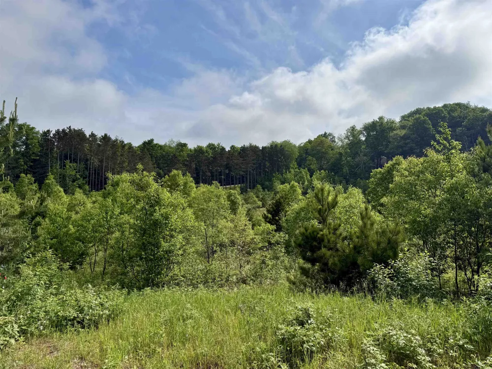 E Kasson Road Kasson Township, MI 49664
