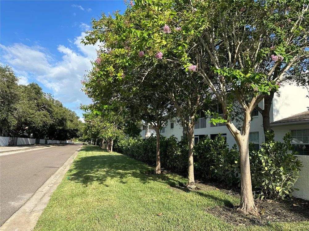 3890 34TH AVENUE S #103 St Petersburg, FL 33711