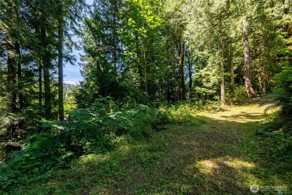 9075 Upper Frost Creek Road Maple Falls, WA 98266
