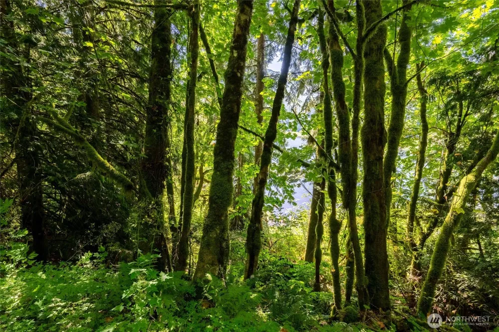 9075 Upper Frost Creek Road Maple Falls, WA 98266