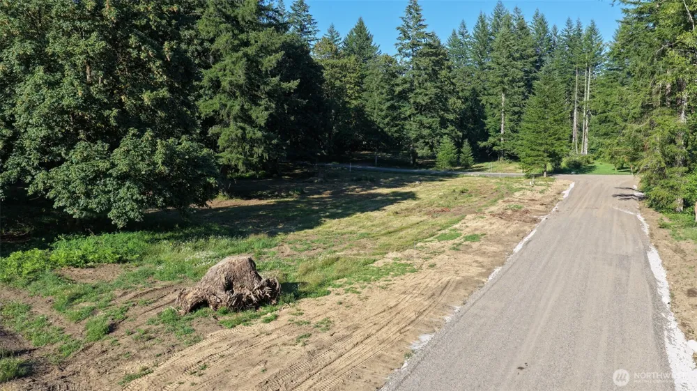 136 Bobcat Place #Lot 4 Ariel, WA 98603