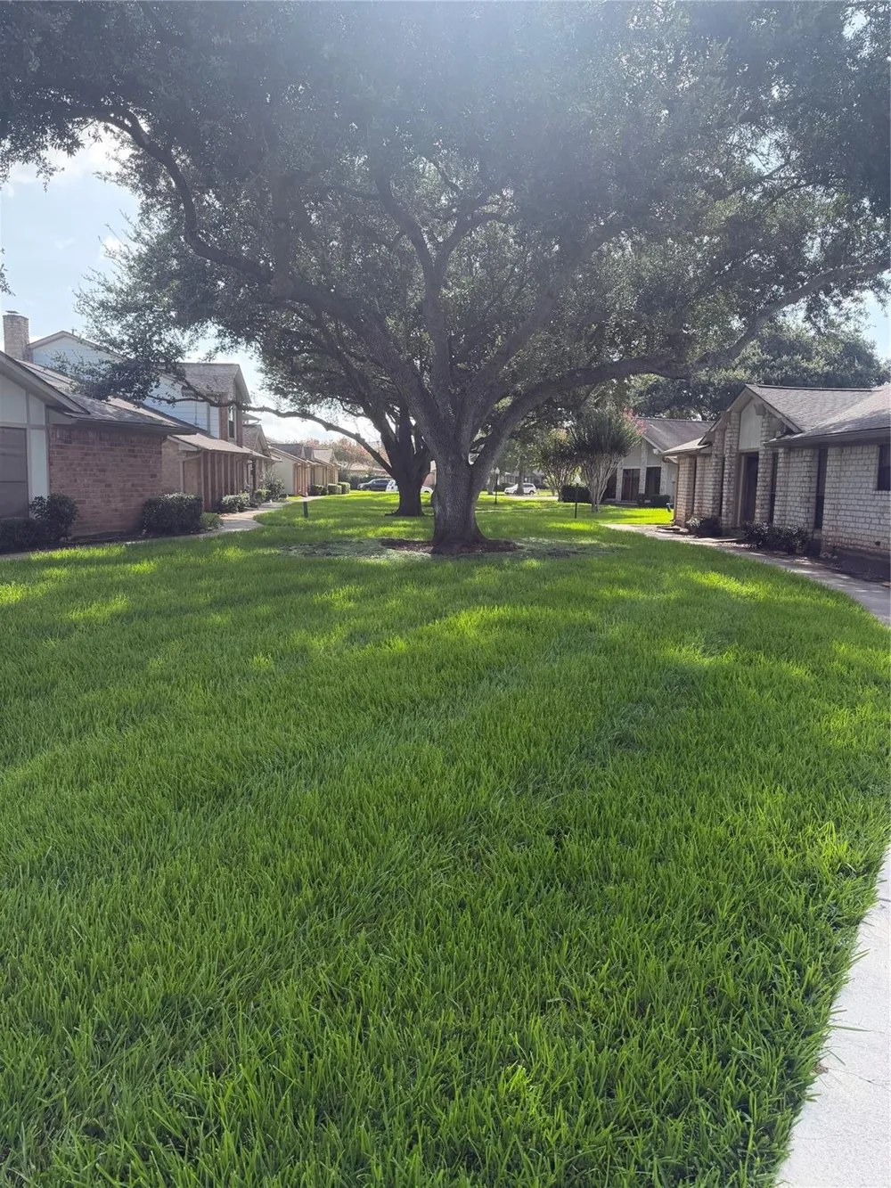 36 Pinehurst Lane Missouri City, TX 77459