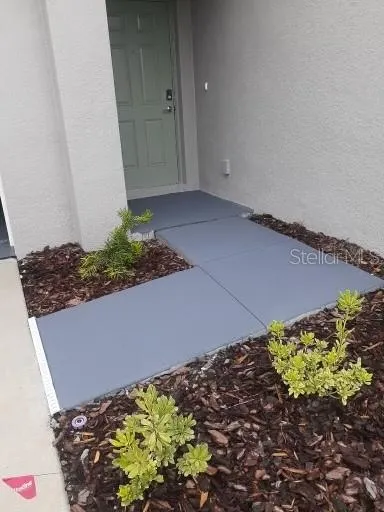 3615 NATURAL TRACE STREET Plant City, FL 33565
