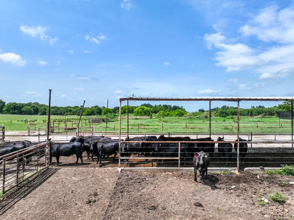 270 Farm Road 2560 Sulphur Springs, TX 75482