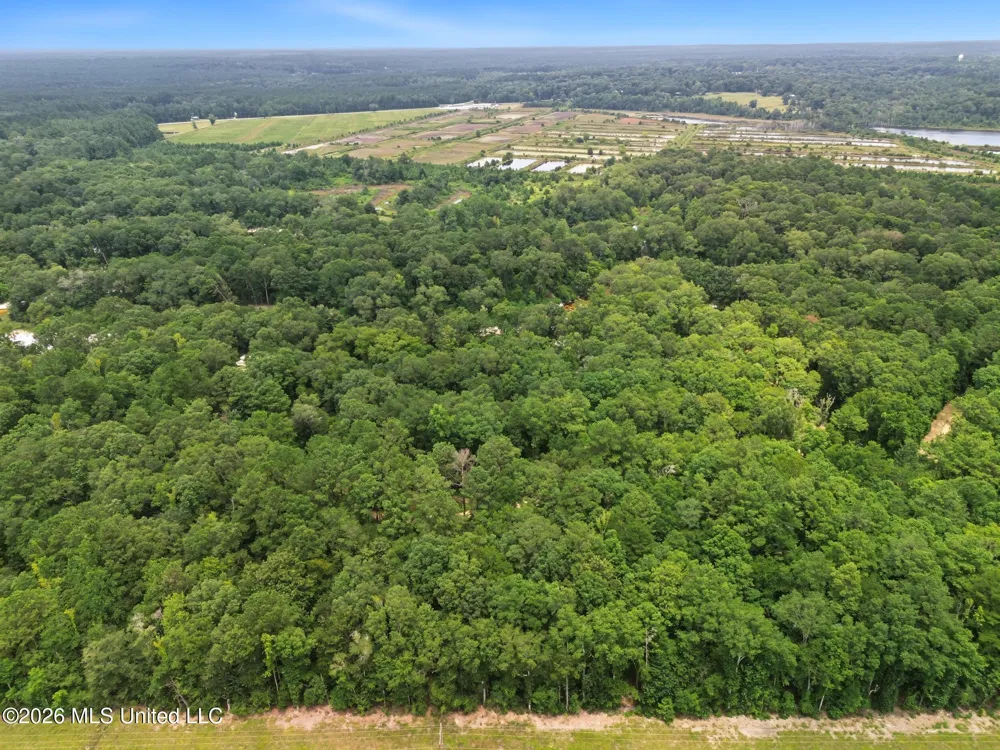 Shep Batson Road Wiggins, MS 39577