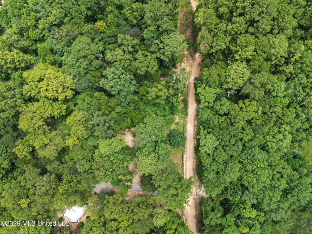 Shep Batson Road Wiggins, MS 39577