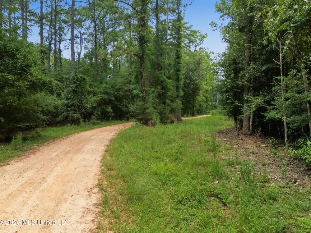 Shep Batson Road Wiggins, MS 39577