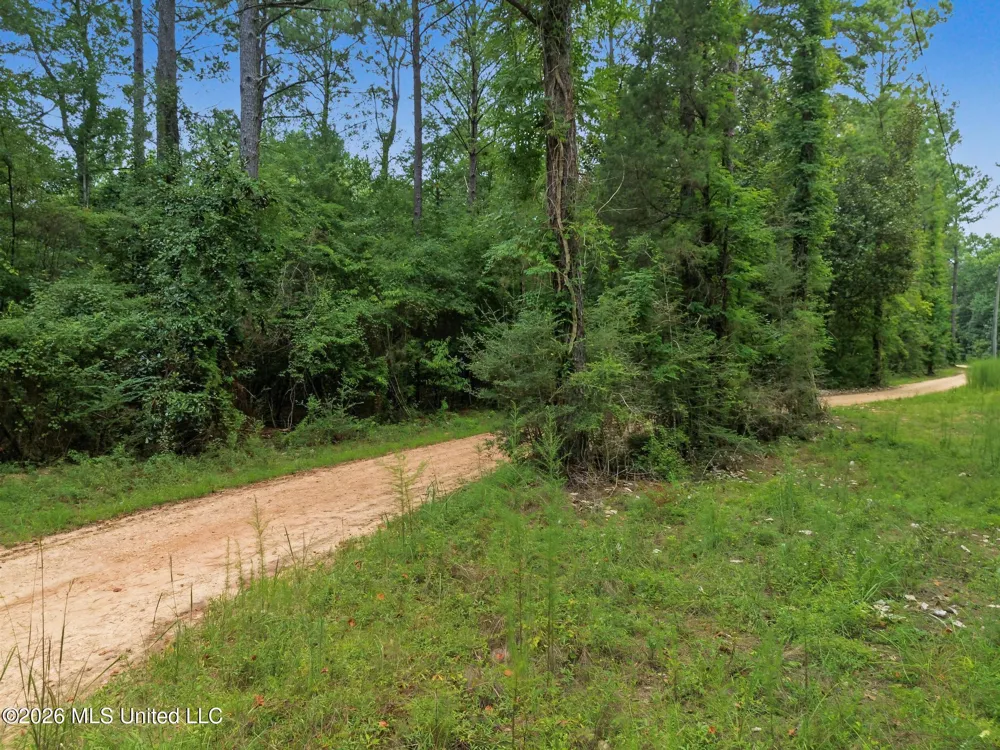 Shep Batson Road Wiggins, MS 39577