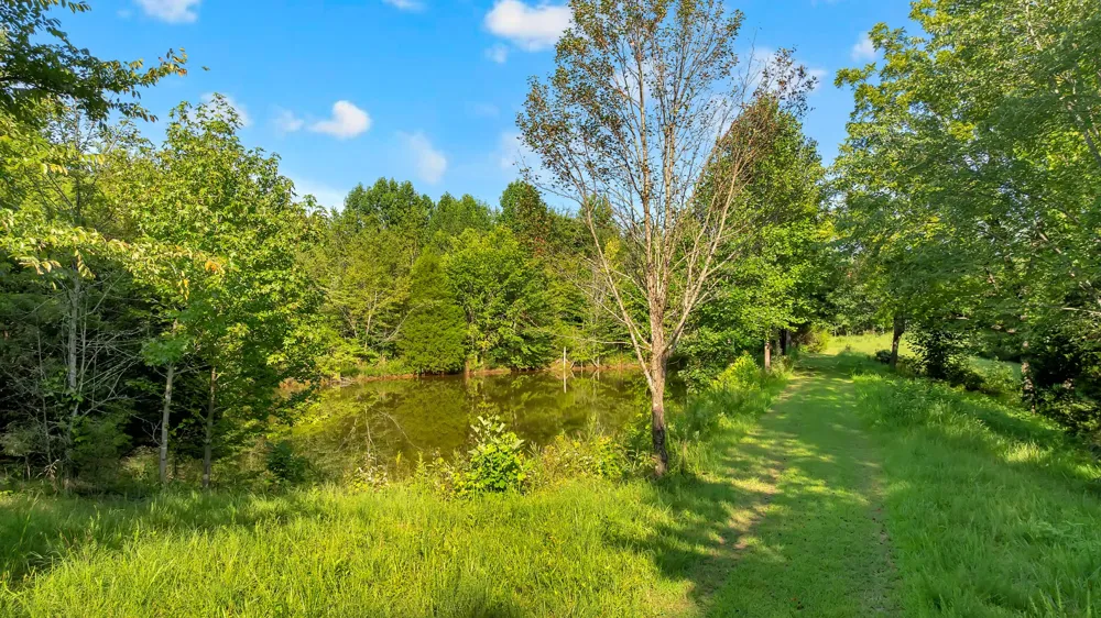 3701 Oakwood Church Rd Cedar Hill, TN 37032