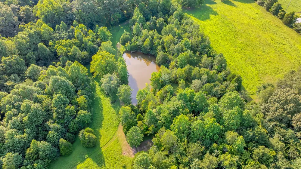 3701 Oakwood Church Rd Cedar Hill, TN 37032