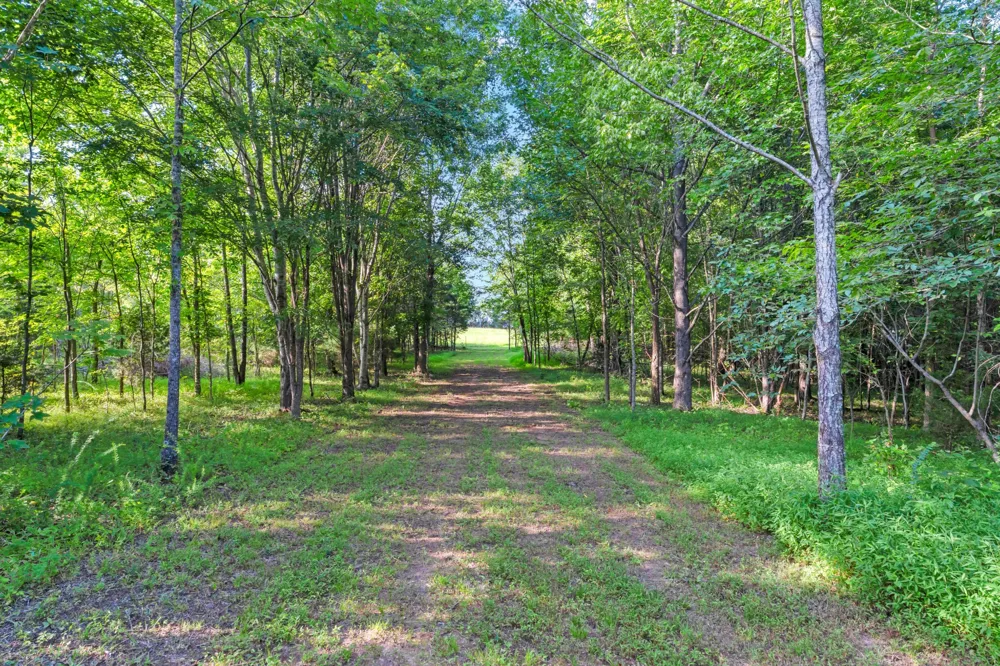 3701 Oakwood Church Rd Cedar Hill, TN 37032