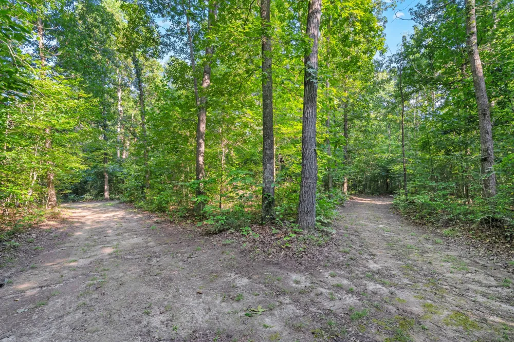 3701 Oakwood Church Rd Cedar Hill, TN 37032