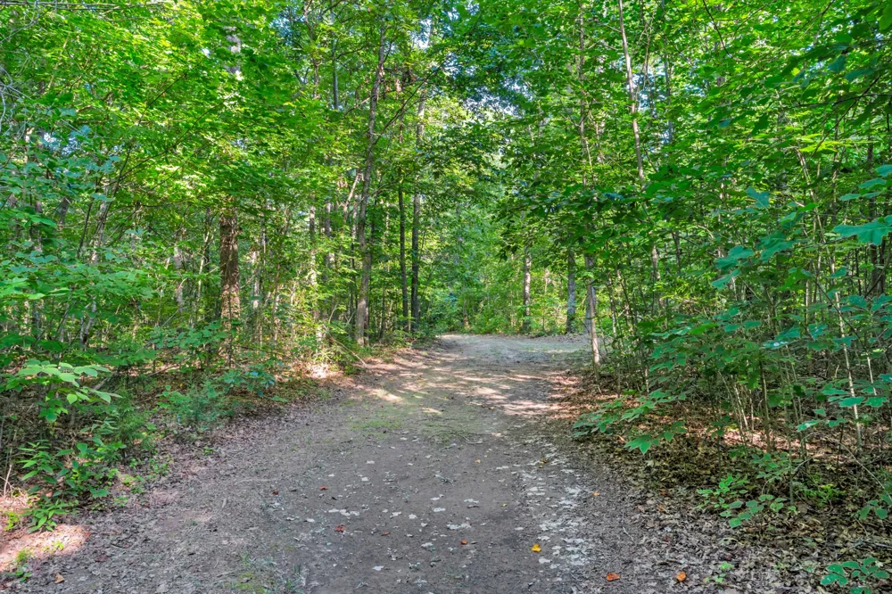 3701 Oakwood Church Rd Cedar Hill, TN 37032