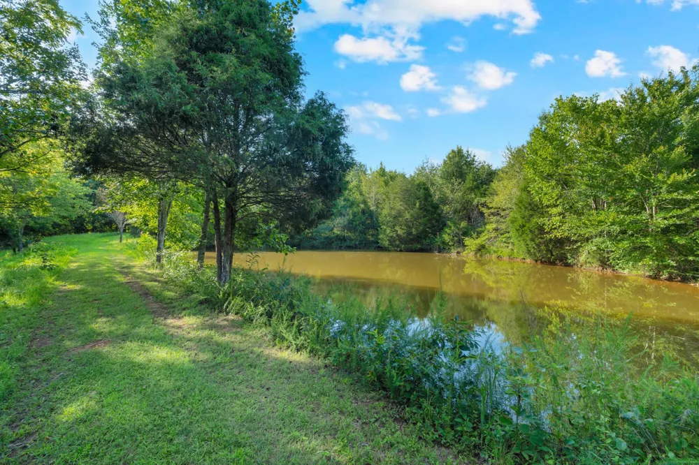 3701 Oakwood Church Rd Cedar Hill, TN 37032
