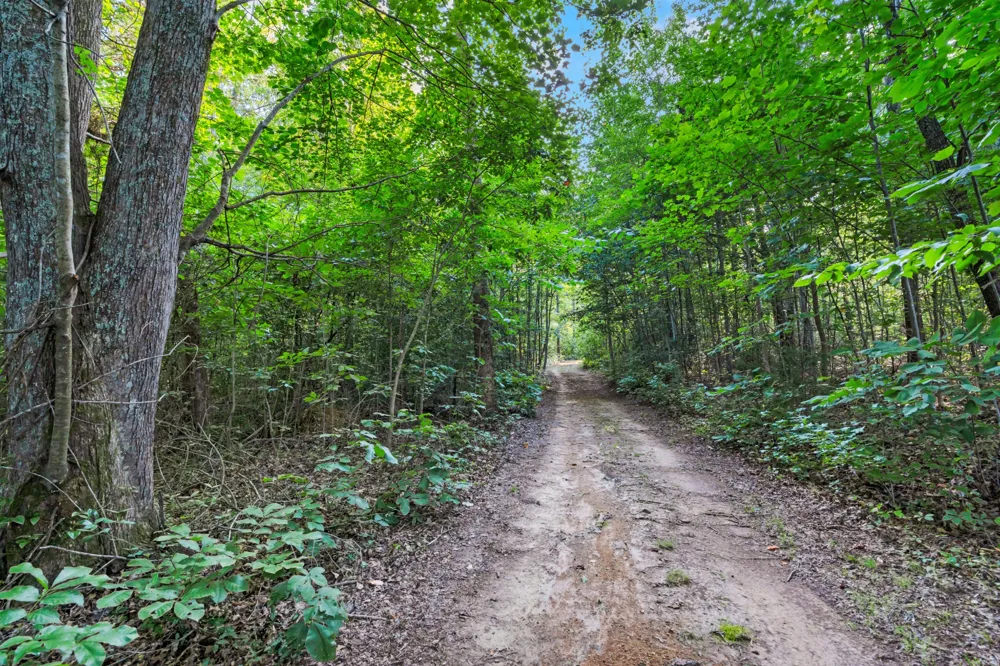 3701 Oakwood Church Rd Cedar Hill, TN 37032