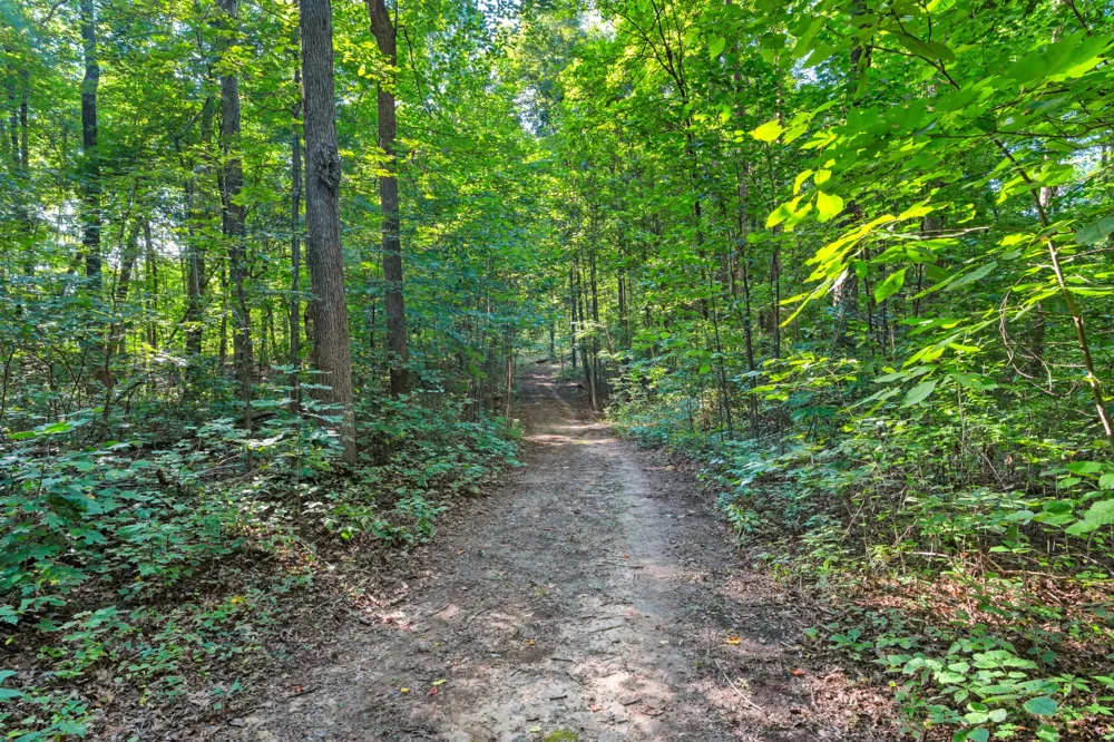 3701 Oakwood Church Rd Cedar Hill, TN 37032