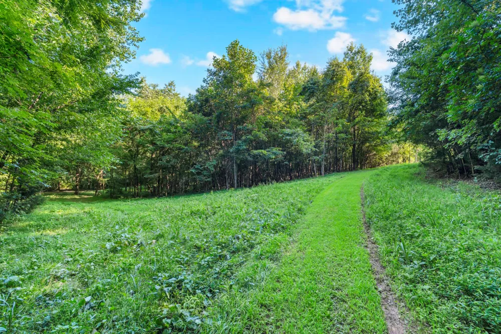3701 Oakwood Church Rd Cedar Hill, TN 37032