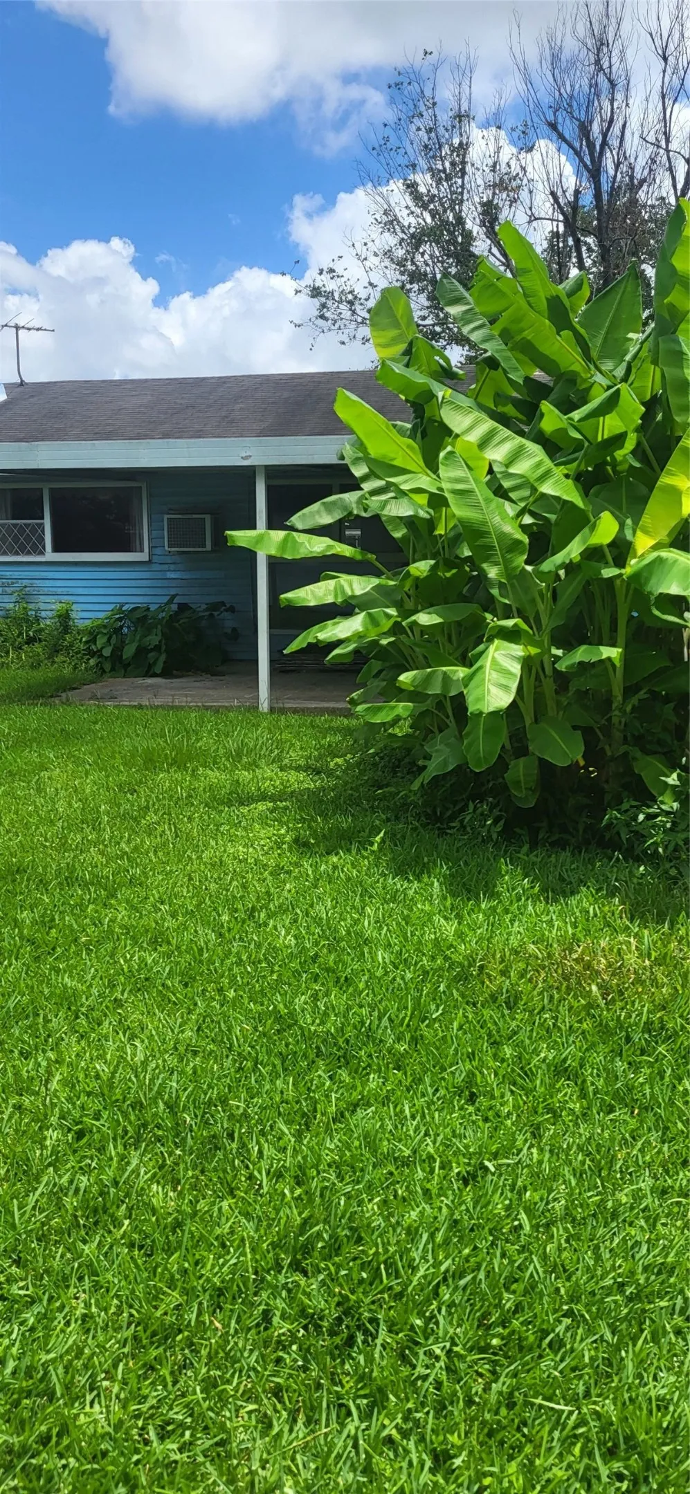915 Pauline Avenue Pasadena, TX 77502