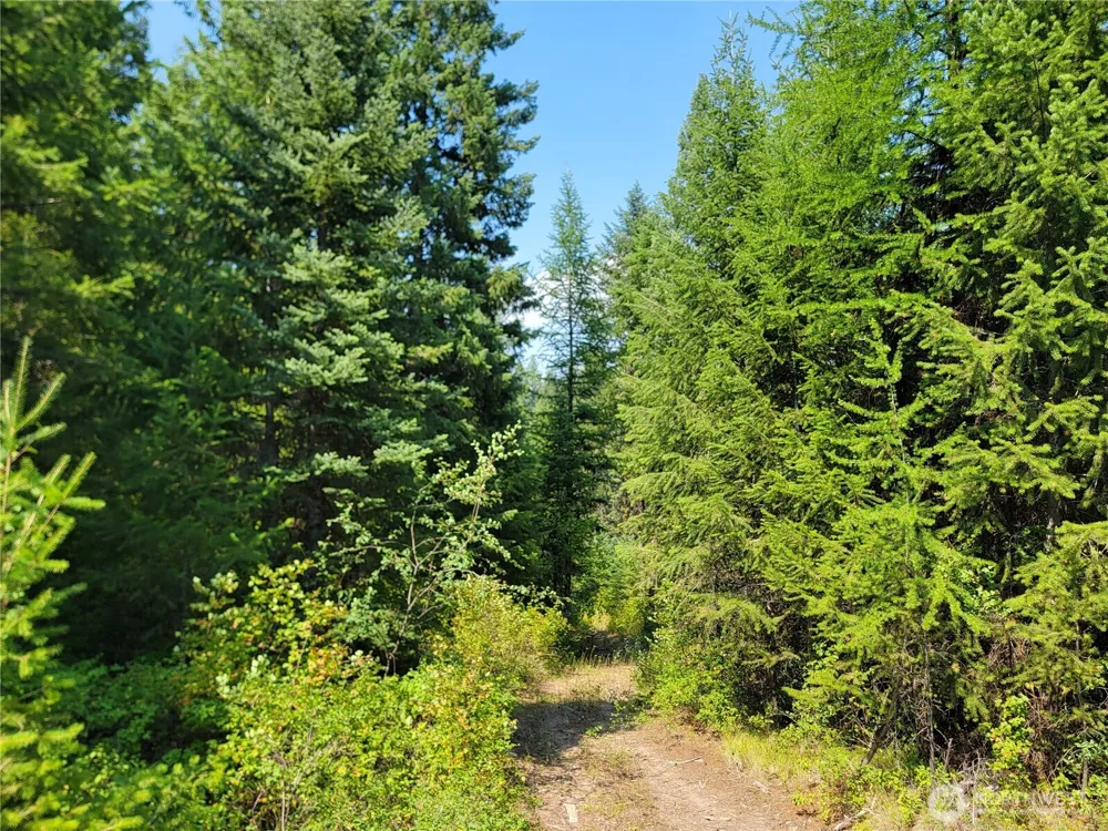 181 New Hope Drive Malo, WA 99150