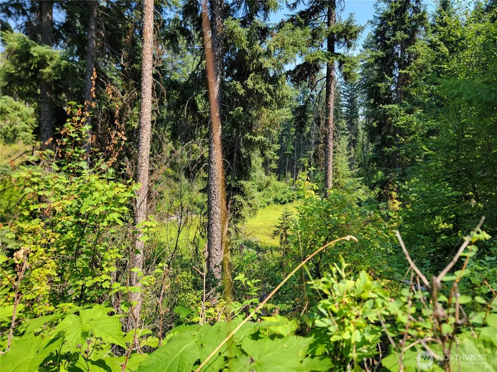 181 New Hope Drive Malo, WA 99150