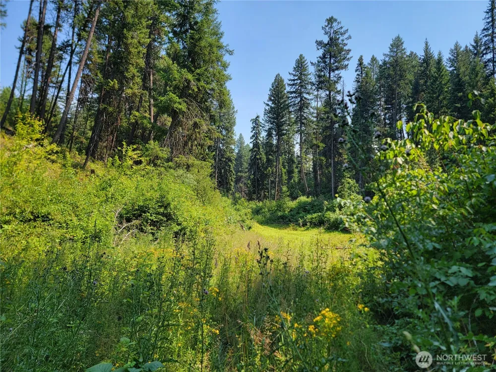 181 New Hope Drive Malo, WA 99150