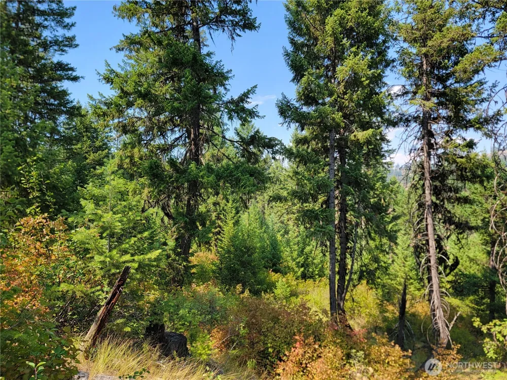 181 New Hope Drive Malo, WA 99150