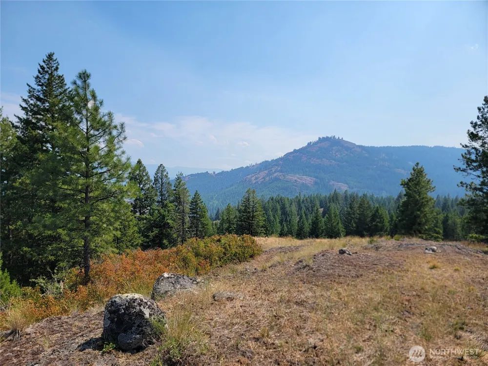 181 New Hope Drive Malo, WA 99150