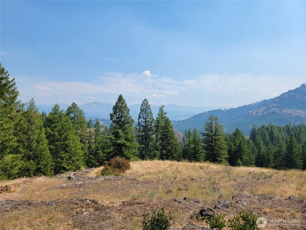 181 New Hope Drive Malo, WA 99150