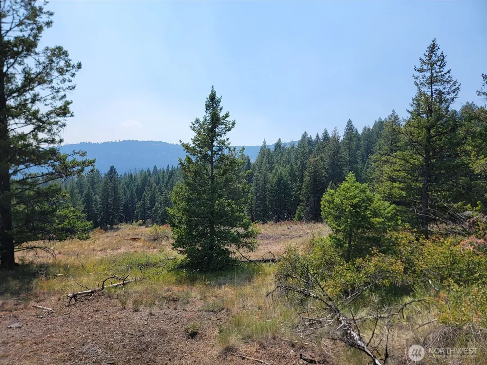181 New Hope Drive Malo, WA 99150