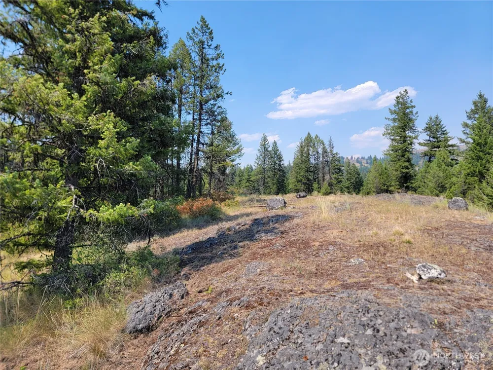 181 New Hope Drive Malo, WA 99150
