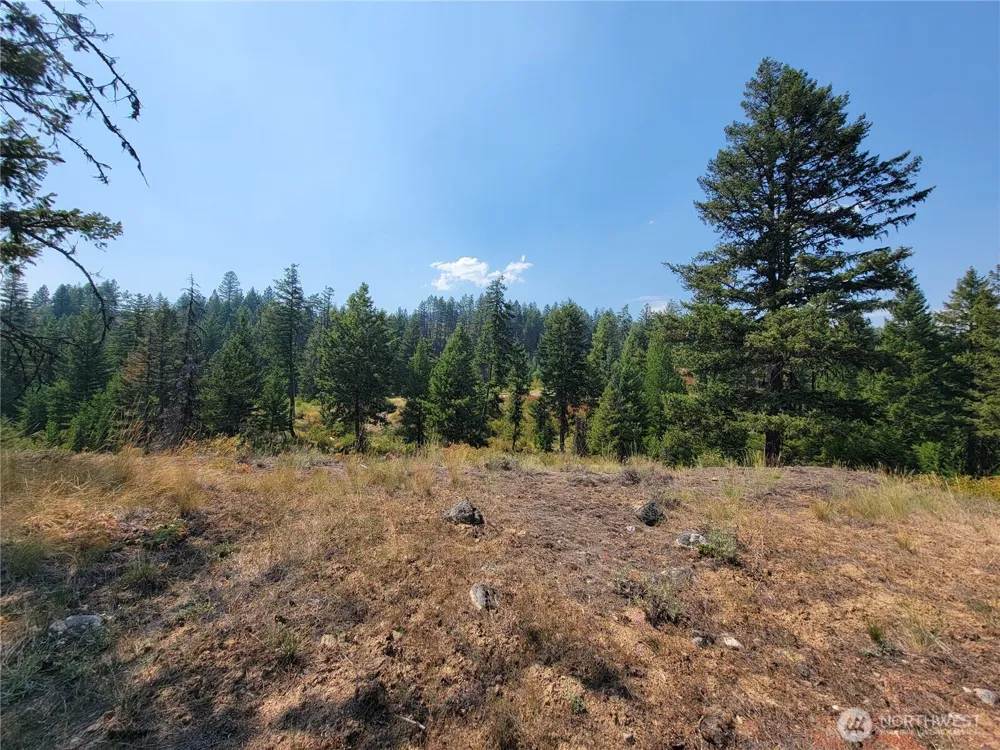 181 New Hope Drive Malo, WA 99150