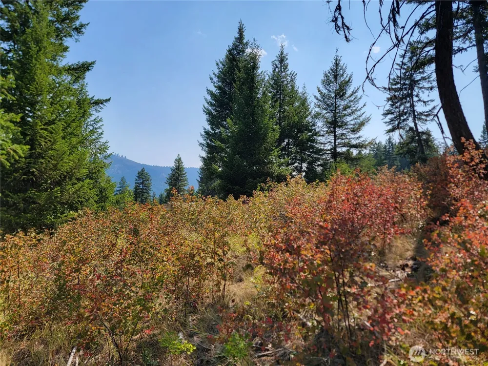 181 New Hope Drive Malo, WA 99150
