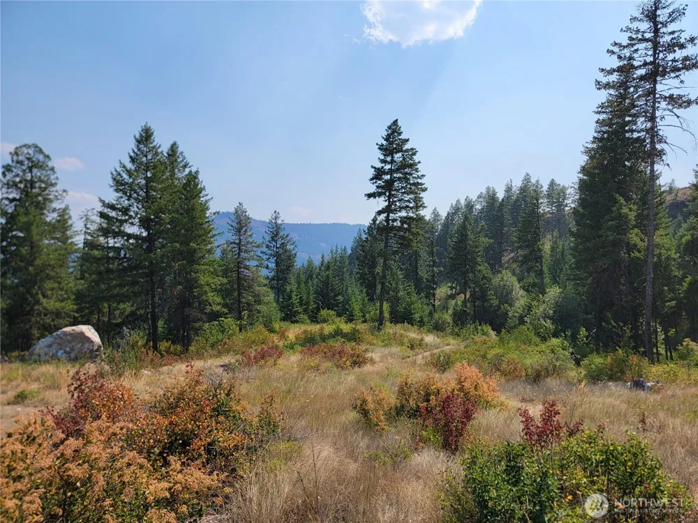 181 New Hope Drive Malo, WA 99150