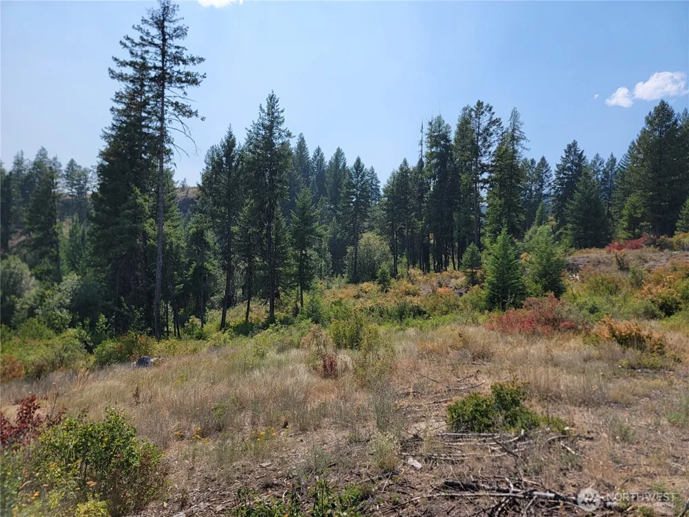 181 New Hope Drive Malo, WA 99150