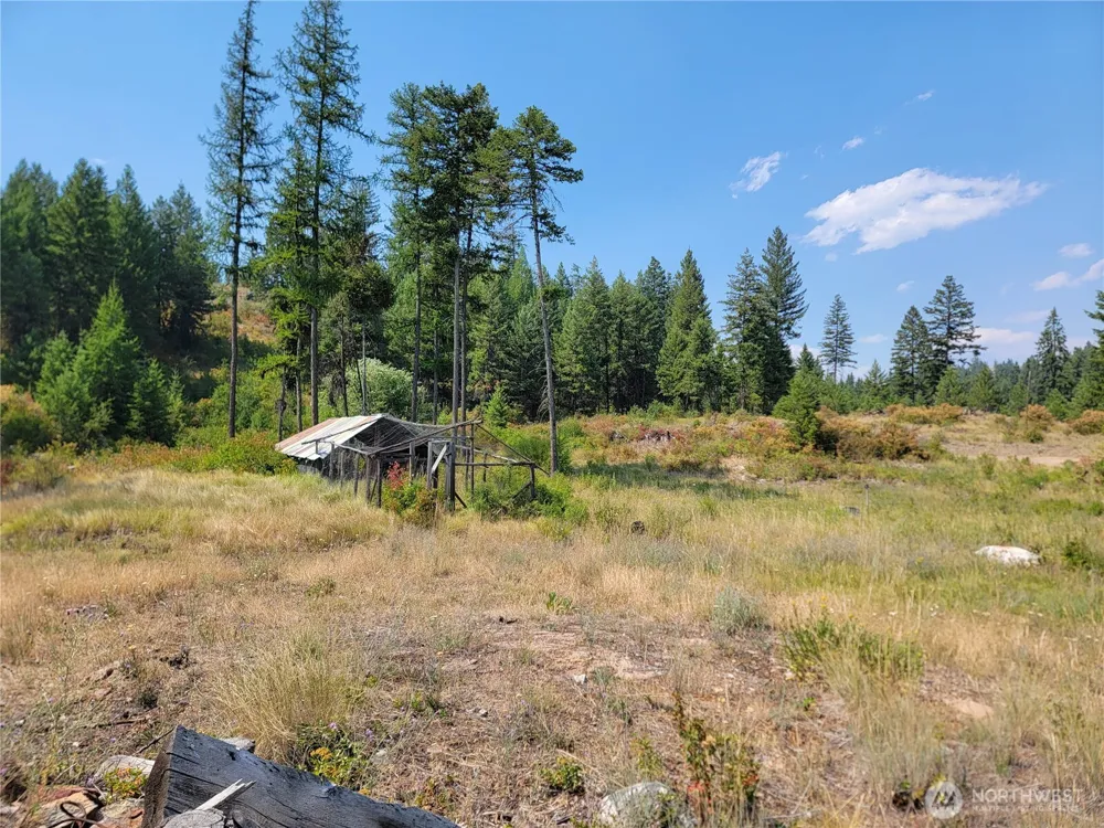 181 New Hope Drive Malo, WA 99150