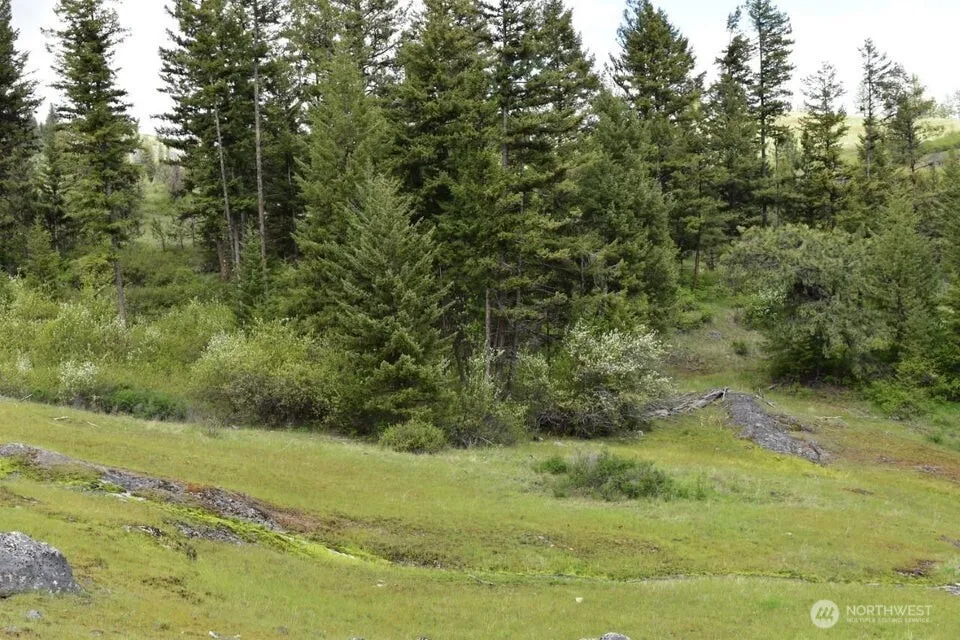 181 New Hope Drive Malo, WA 99150
