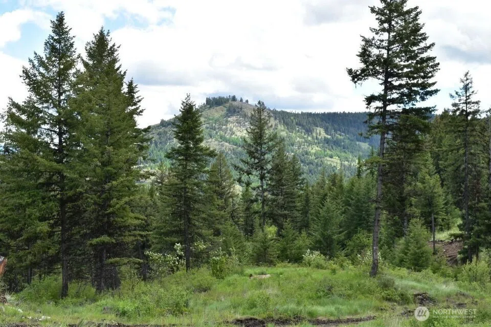 181 New Hope Drive Malo, WA 99150